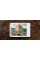 Bruegel. The Complete Works