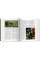 What Great Paintings Say. 100 Masterpieces in Detail BU