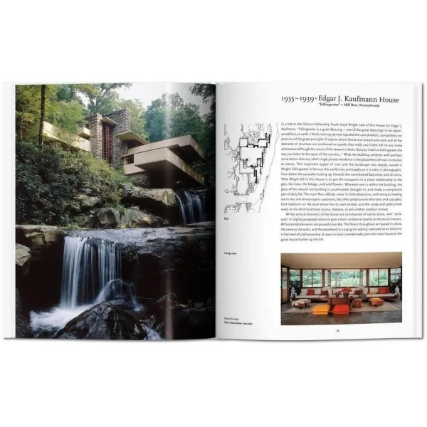F.L. Wright. Basic Art Series 