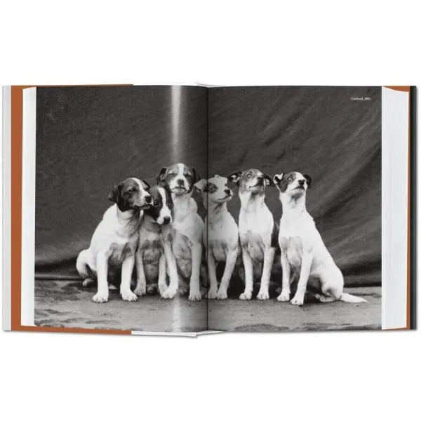 The Dog in Photography 1839–Today BU