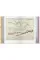 History of Information Graphics