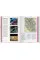 History of Information Graphics