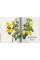 Redoute. The Book of Flowers