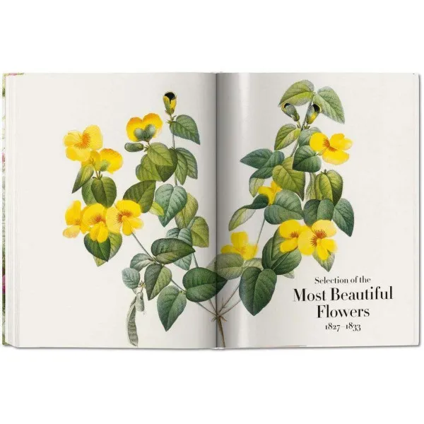 Redoute. The Book of Flowers