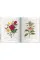 Redoute. The Book of Flowers