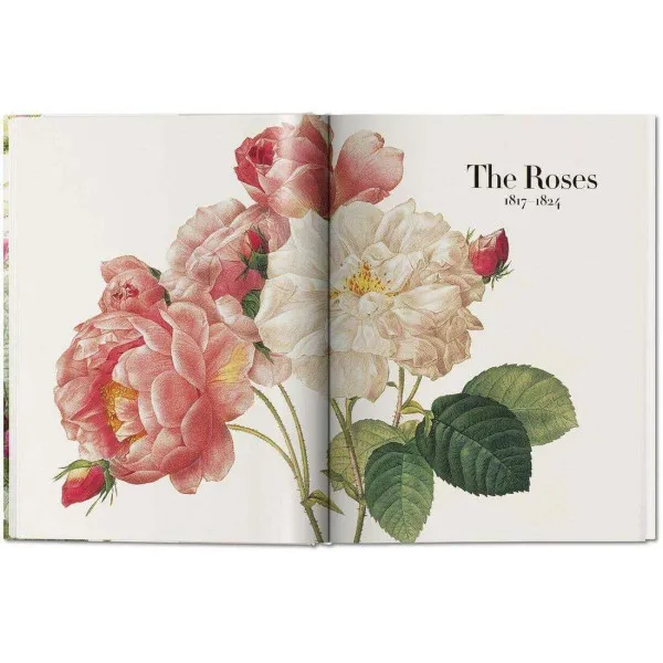Redoute. The Book of Flowers