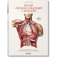 Bourgery. Atlas of Human Anatomy and Surgery 