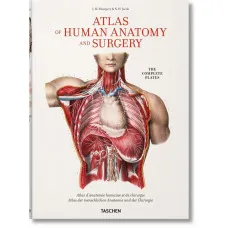 Bourgery. Atlas of Human Anatomy and Surgery 
