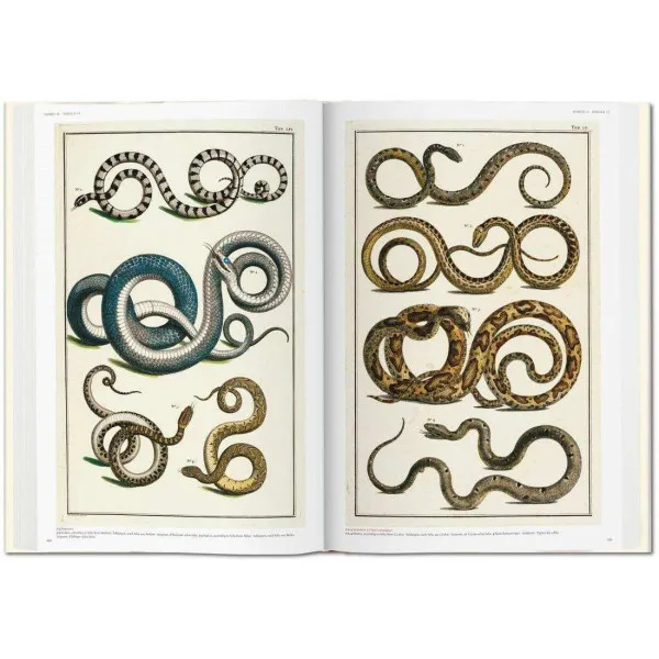 Seba. Cabinet of Natural Curiosities