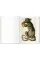 Seba. Cabinet of Natural Curiosities