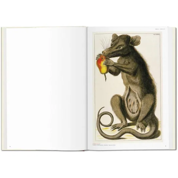 Seba. Cabinet of Natural Curiosities