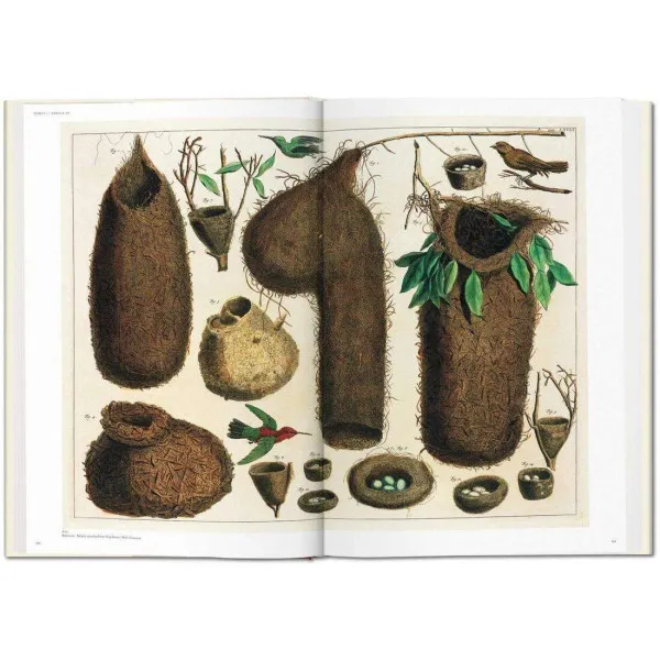 Seba. Cabinet of Natural Curiosities