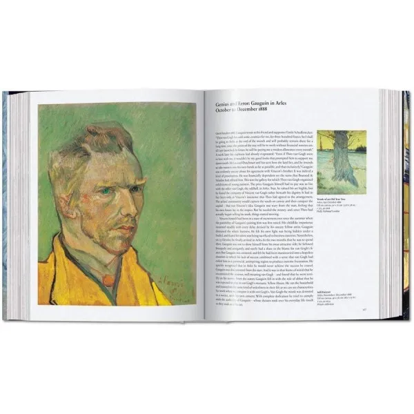 Van Gogh. The Complete Paintings