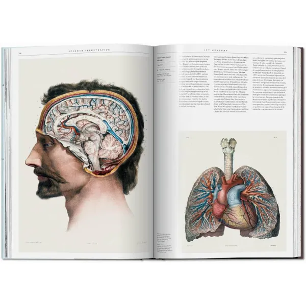 Science Illustration