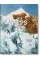 The Alps 1900