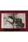Rembrandt. The Complete Drawings and Etchings