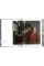 Vermeer. The Complete Works