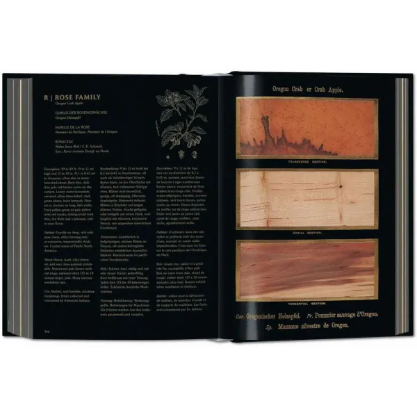 Romeyn B. Hough. The Woodbook. The Complete Plates