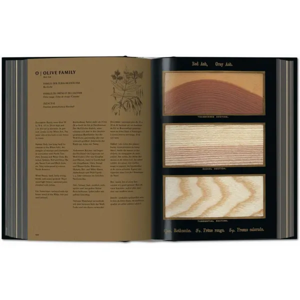 Romeyn B. Hough. The Woodbook. The Complete Plates