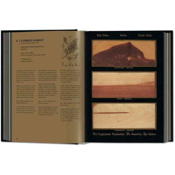 Romeyn B. Hough. The Woodbook. The Complete Plates