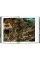 Bruegel. The Complete Paintings. 45th Ed.