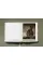 Goya. The Complete Prints