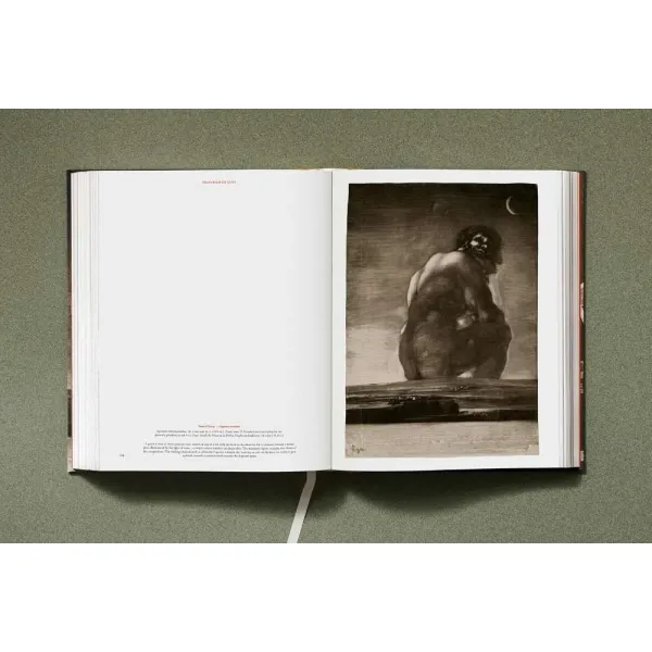 Goya. The Complete Prints