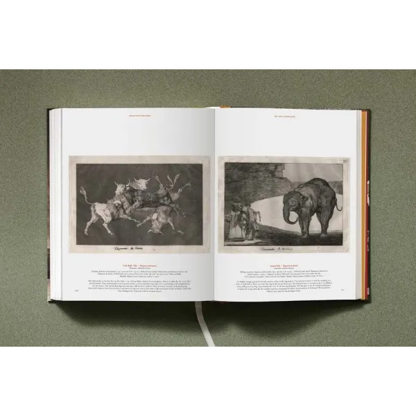 Goya. The Complete Prints