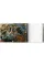 Bruegel. The Complete Works 