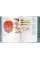 Information Graphics