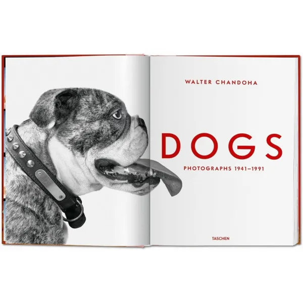 Dogs: Photographs 1941-1991