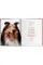 Dogs: Photographs 1941-1991