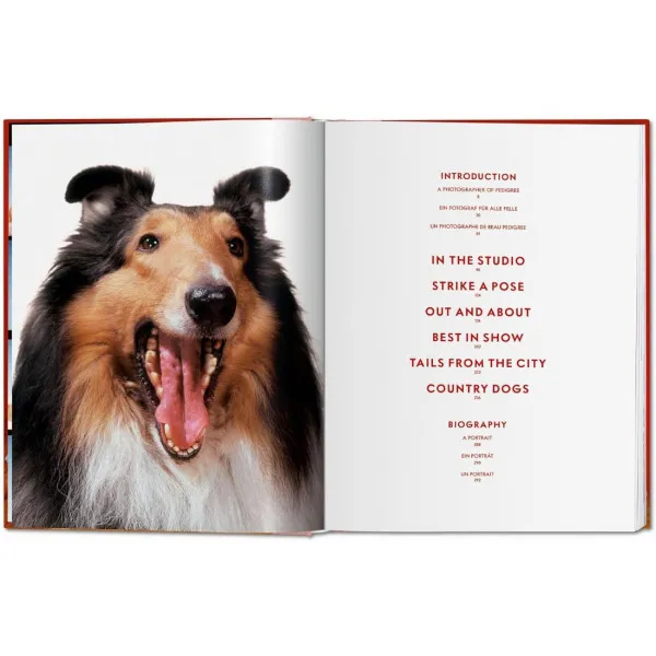 Dogs: Photographs 1941-1991