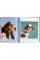 Dogs: Photographs 1941-1991
