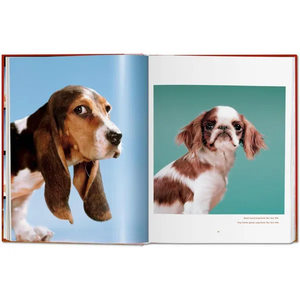 Dogs: Photographs 1941-1991