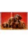 Dogs: Photographs 1941-1991