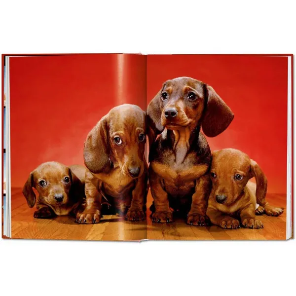 Dogs: Photographs 1941-1991