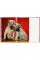 Dogs: Photographs 1941-1991