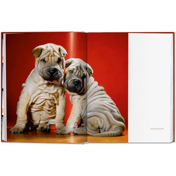 Dogs: Photographs 1941-1991