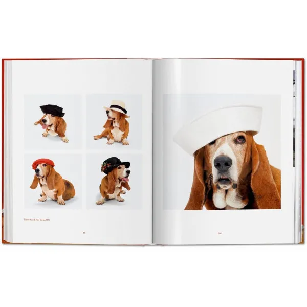 Dogs: Photographs 1941-1991