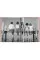 Dogs: Photographs 1941-1991