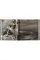 Peter Beard. The End of the Game 