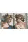 Michelangelo. The Complete Works. Paintings, Sculptures, Architecture
