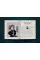 The Tarot of A. E. Waite and P. Colman Smith