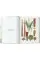 Martius. The Book of Palms. 40th Ed.