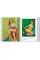 The Art of Pin-Up 45th Ed.
