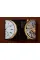 Ultimate Collector Watches