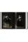Rembrandt. The Paintings 45th Ed