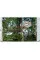 Tree Houses 45th Ed.