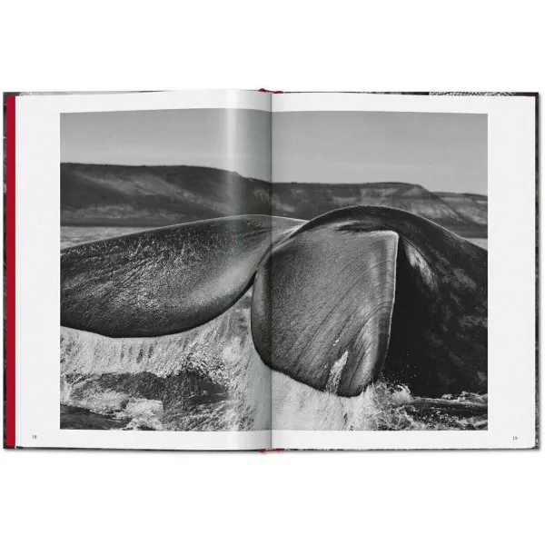 Sebastião Salgado Genesis
